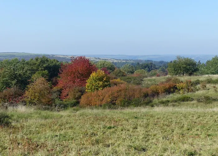 Am National Park Eifel * Schleiden